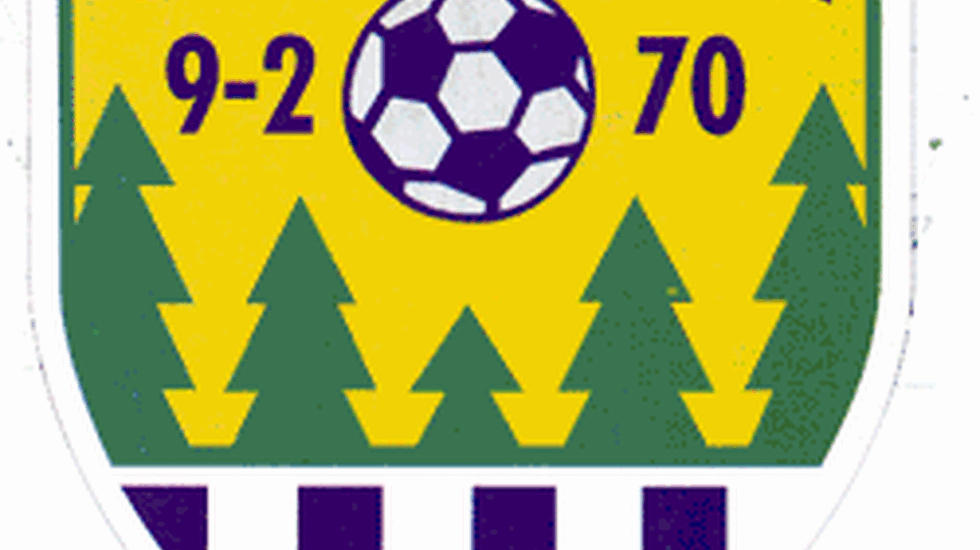 Skaubygda