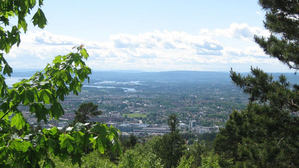 Praktfullt utsyn over Oslo fra Grefsenkollen