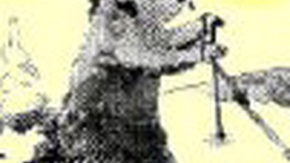 Bjoern_i_logo