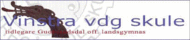 vinstra vgs2