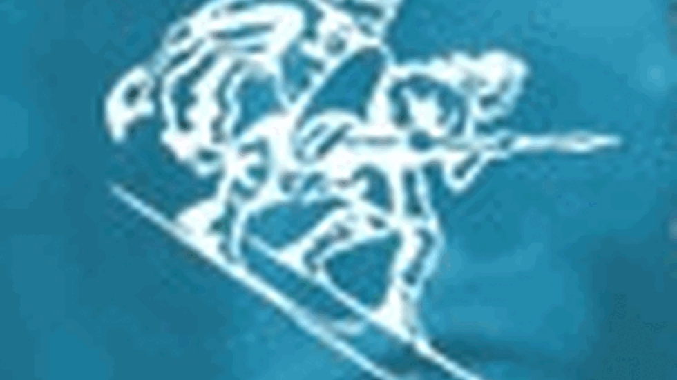 Birkebeinerrennet