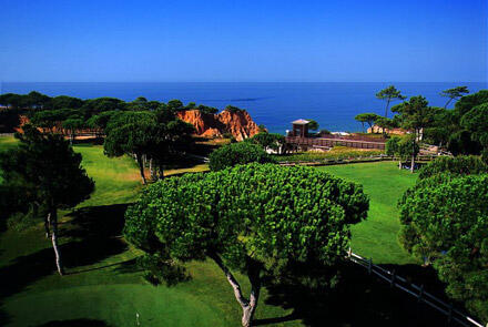 algarve-pine