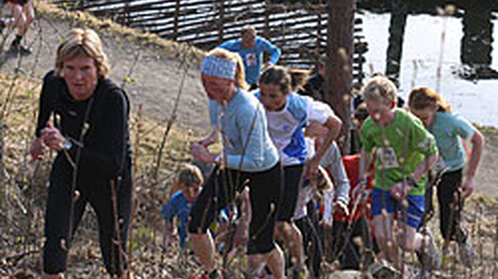 IntroMaihaug