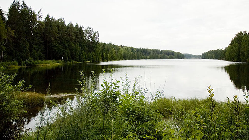 borredalsvannet