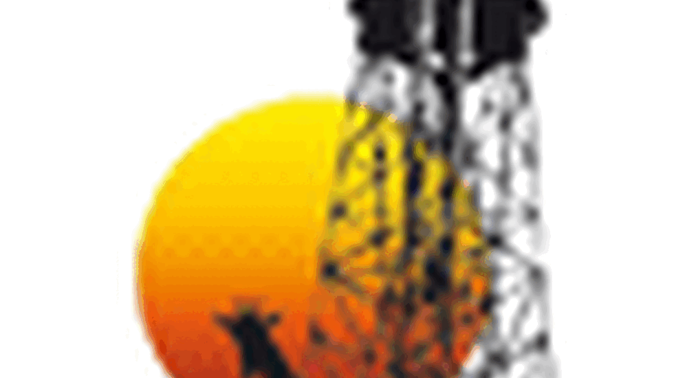 logo_vm_junior_10
