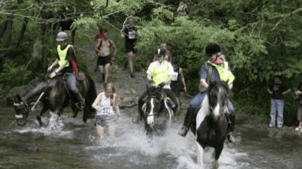 Man_against_horse_2010