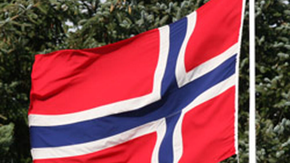 Flagget_JuniorNM