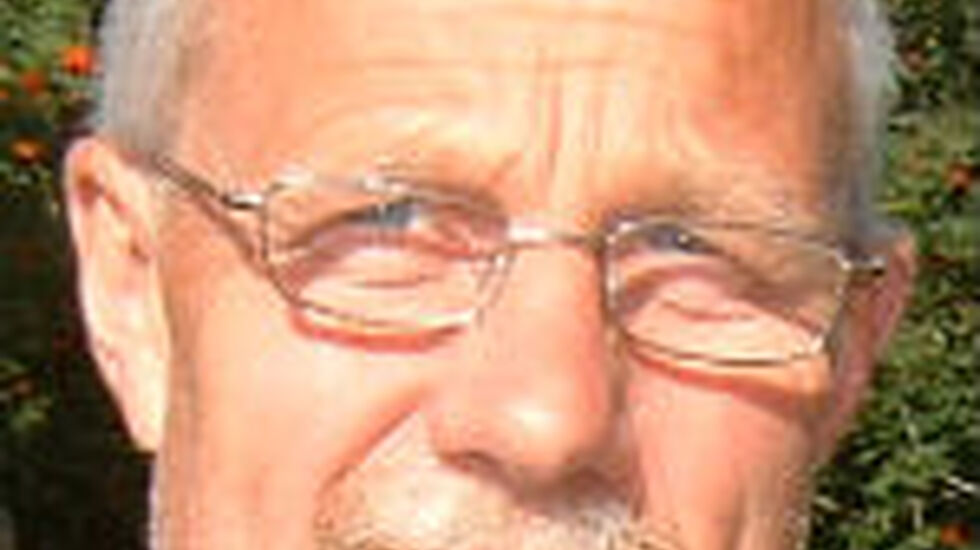 Stemshaug2010torsoedal