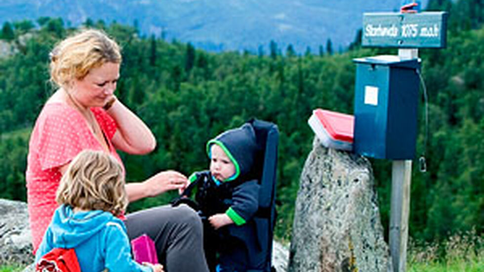 Hemsedal_Topp_20_Storhoevda_300