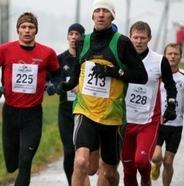 LskogHalv_006_tet_300meter_400x267_cropped_184x186