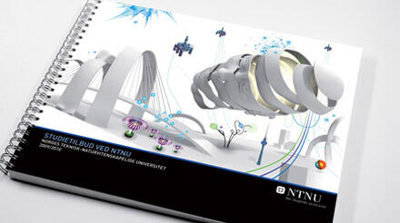 NTNU-katalog 2011