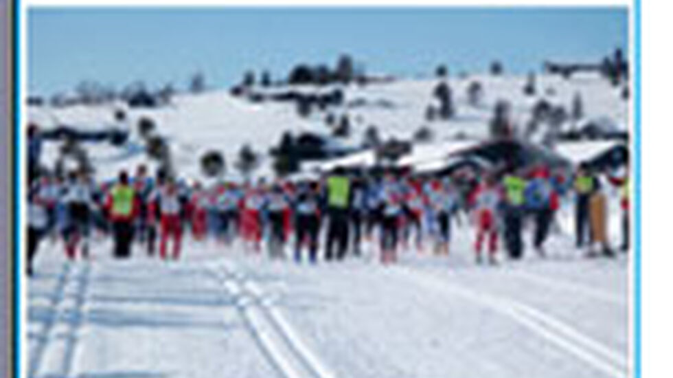Furusjoen_rundt