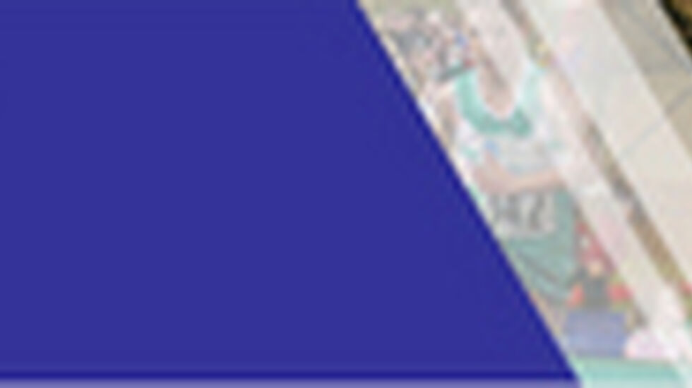 aaheim_top16march2010_new_images_319x52