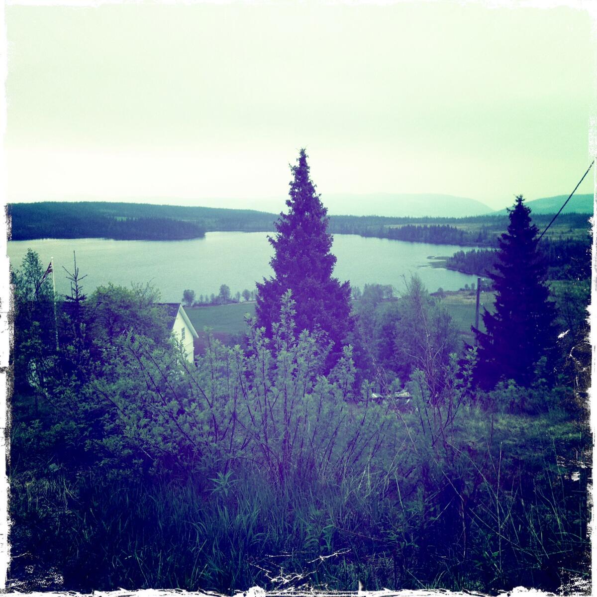ulsjøen 2011