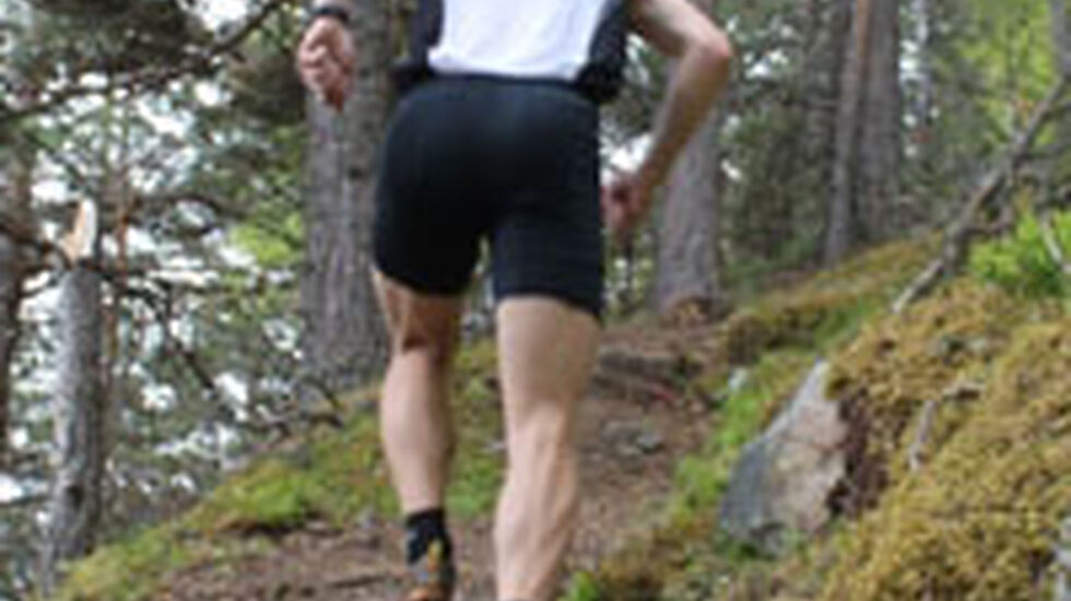 200_Ingress_Oyvindvistealleryggen_2011_06_02_StorhaugenOpp
