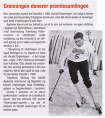Grønningen - Skisport (2)_250x281