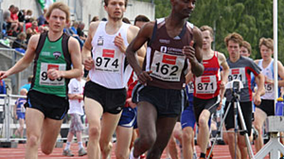 IMG_0341_Genale_intro