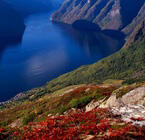 Aurlandsomraadet
