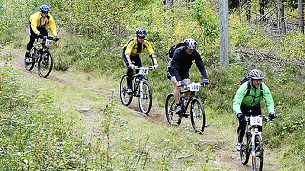 Bjorn Johannessen