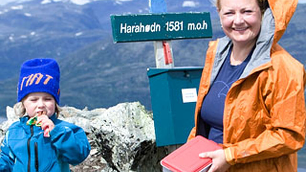 topp20-36-hemsedal_320_-NEB-10