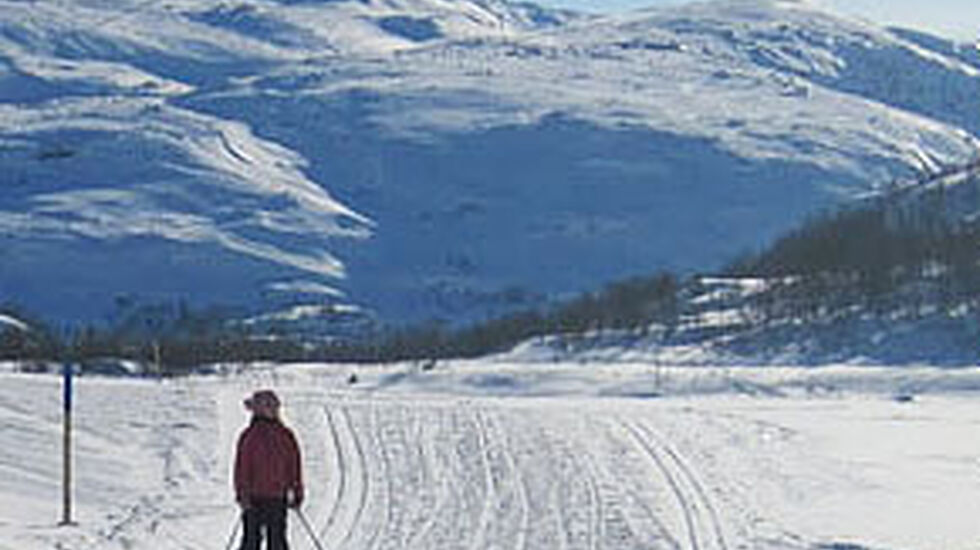 sirdal