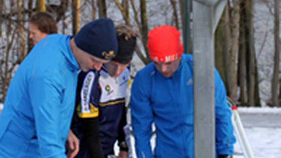 ribbe_ingress