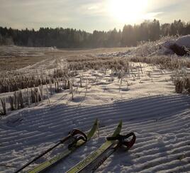 Blogg2_Floisbonn_ski_268x243