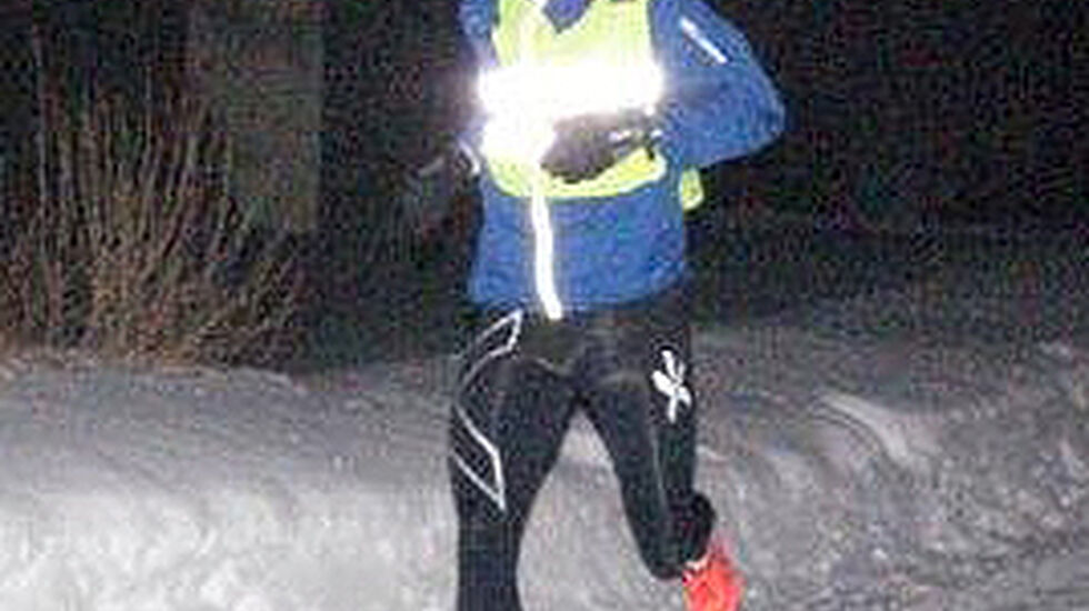 Helge_Holthe_ingress