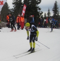 Arne_Post_Birken2012_240x244