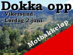 dokka_opp_2