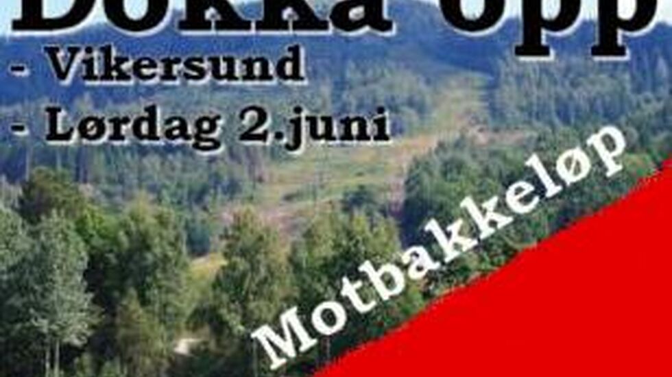 dokka_opp_2