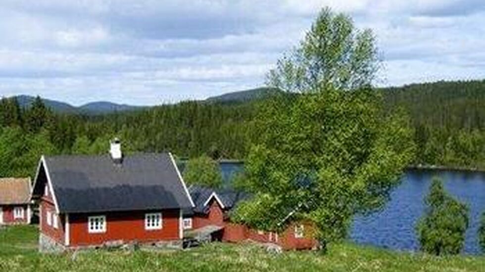 DSCF5046_Finnstad_cropped_350x364
