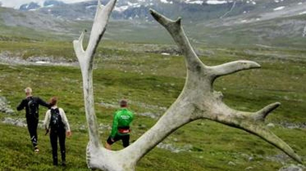 I-Reinsdyrenes_rike_cropped_373x375