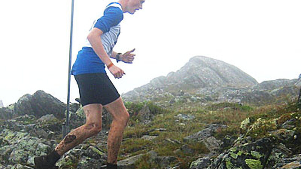 HÃ¥vard TÃ¸mmerdal
