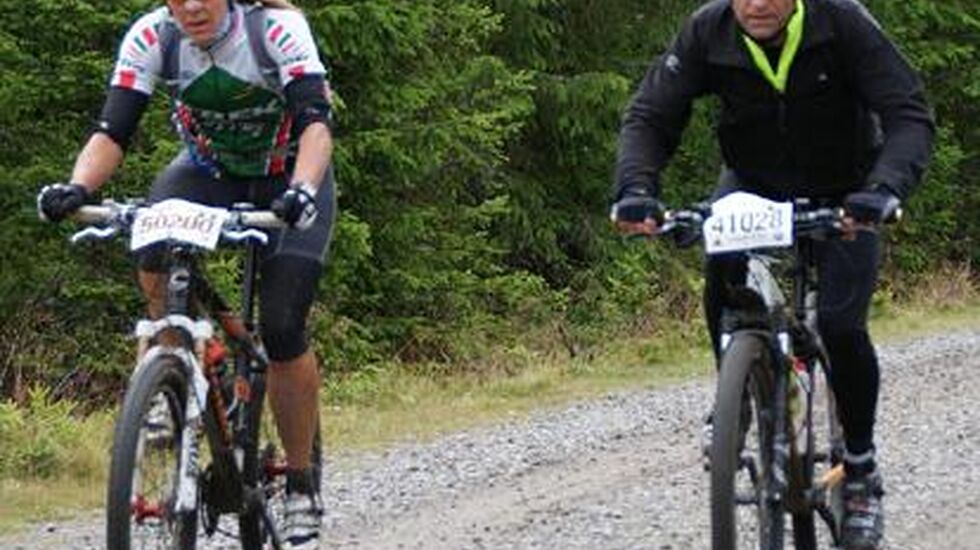 Bringebu_Anita_Jansen_cropped_414x413