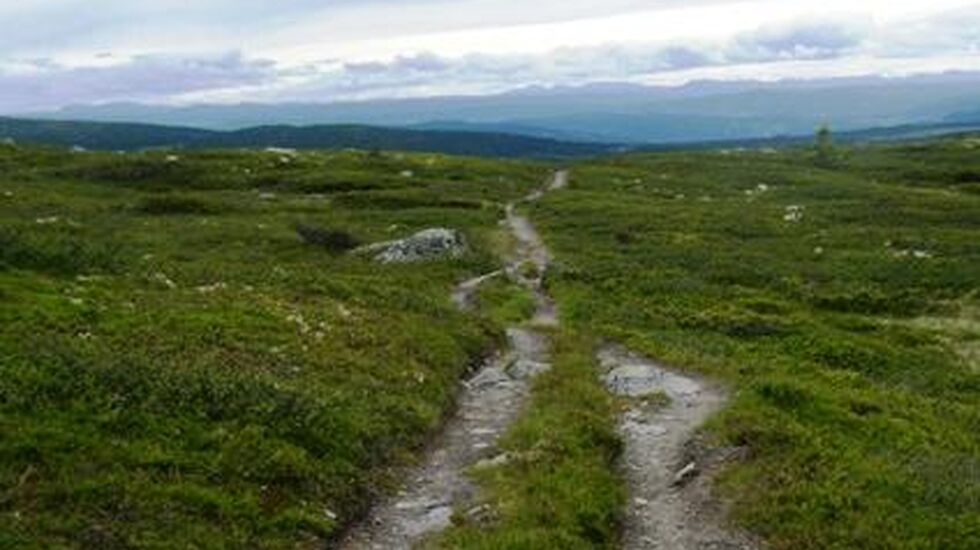 DSCF0454_Over_Hitfjellet_cropped_424x428