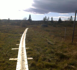 planken_lite