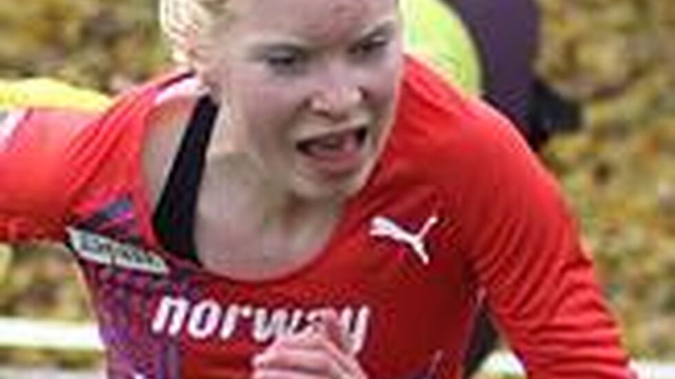 Nordisk_KJ_bakke2_IdaMN_cropped_164x178