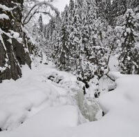 Snoeforhold