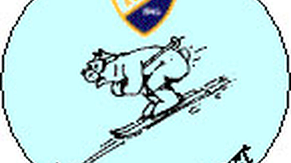 vikerfjell-lopet-logo