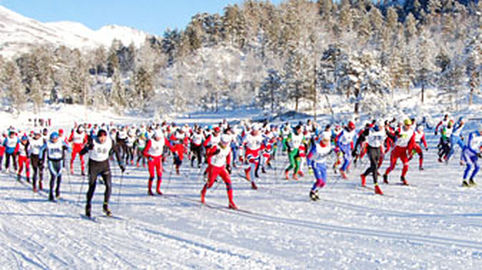 Skardilten2013