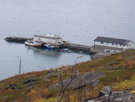 Bilde av Holmfjordbruket på østsiden av Porsangerfjorden
