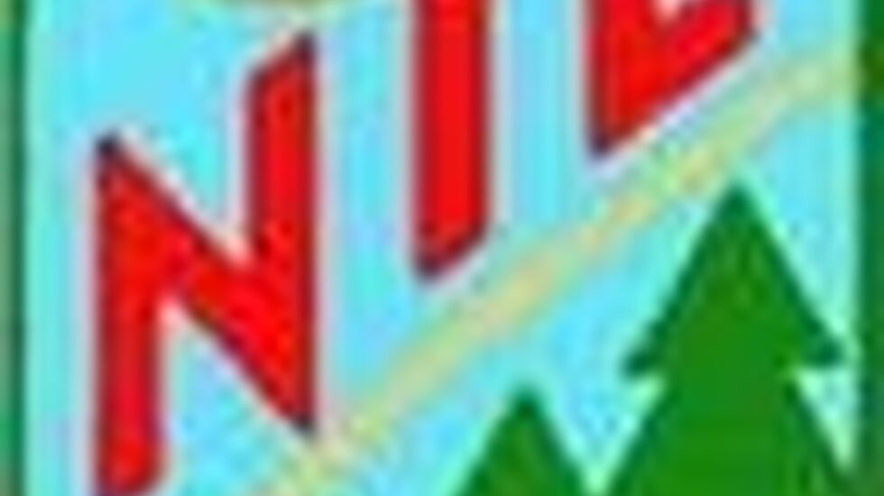 Nybygda_IL-logo_cropped_73x100