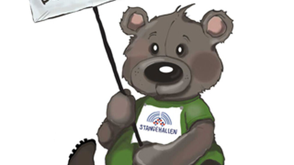 bamse13ingress