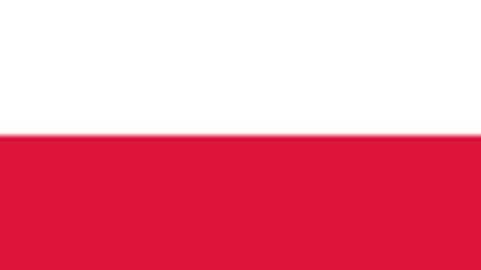Flagg_Polen_145pix
