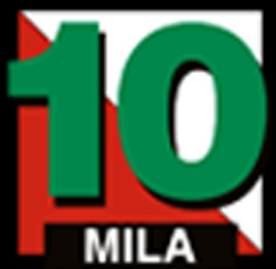 10mila_logo