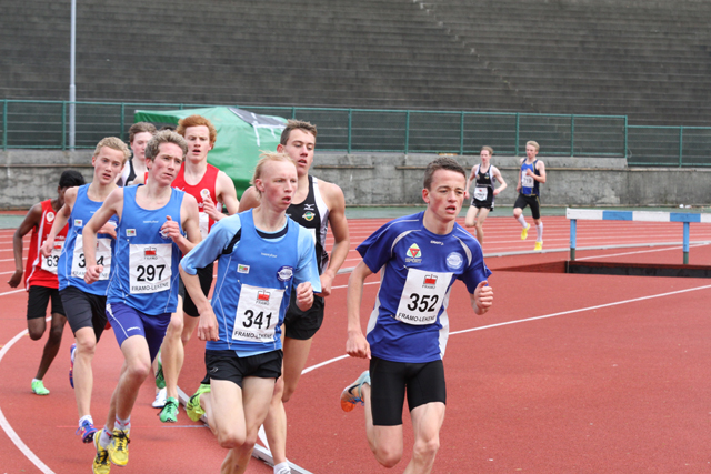 nls13-5.jpg