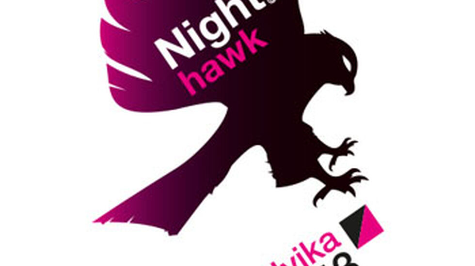 NightHawkLogo