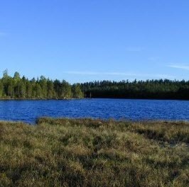 Langsjoelopet