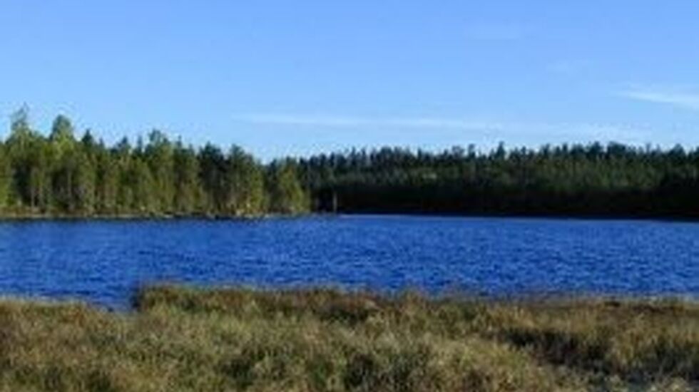 Langsjoelopet